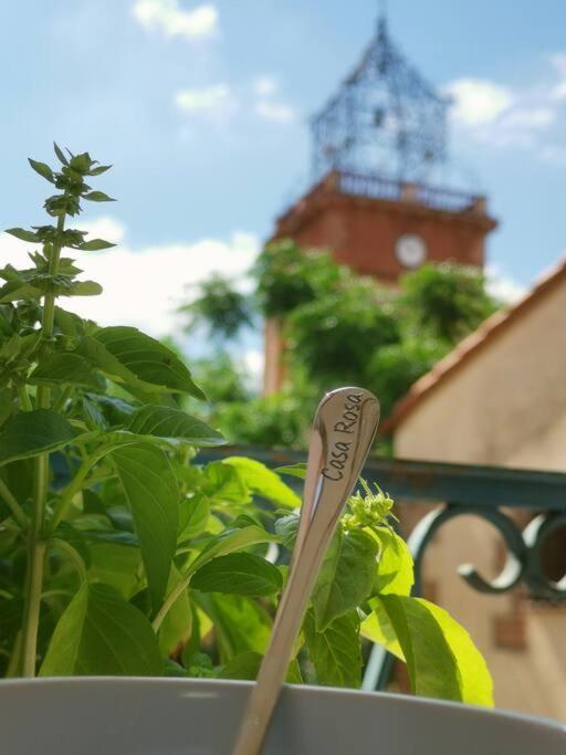 Casa Rosa, Un Petit Cocon Catalan Villa Ortaffa Luaran gambar