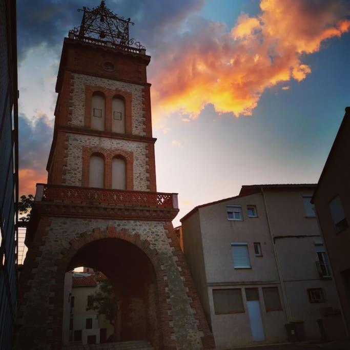 Casa Rosa, Un Petit Cocon Catalan Villa Ortaffa Luaran gambar